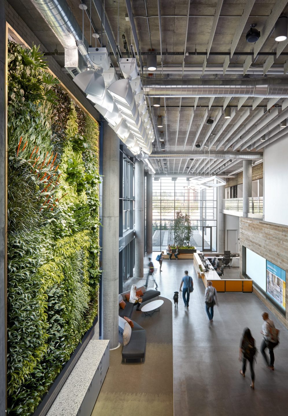 Tivara office
